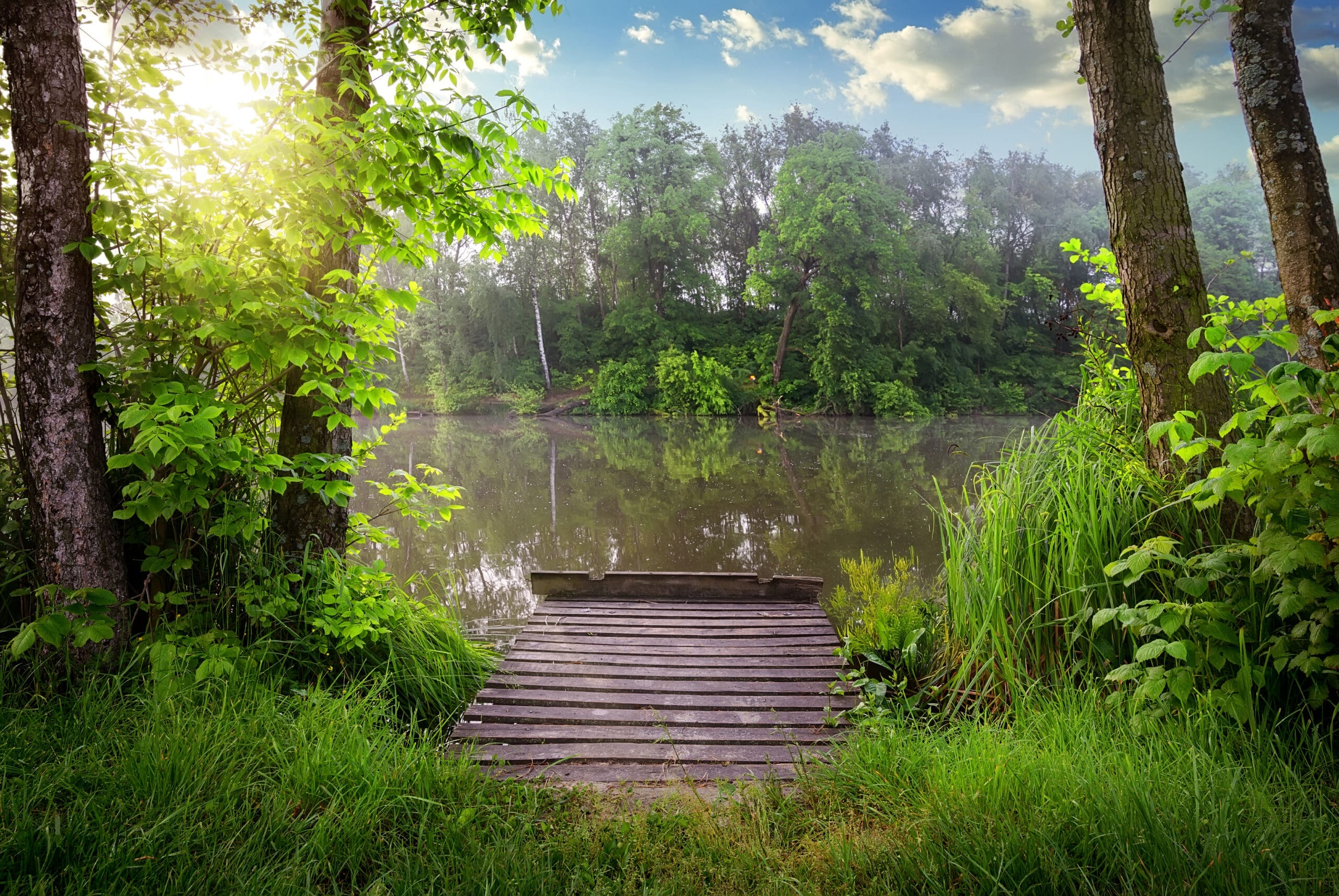 Dock leading to a lake