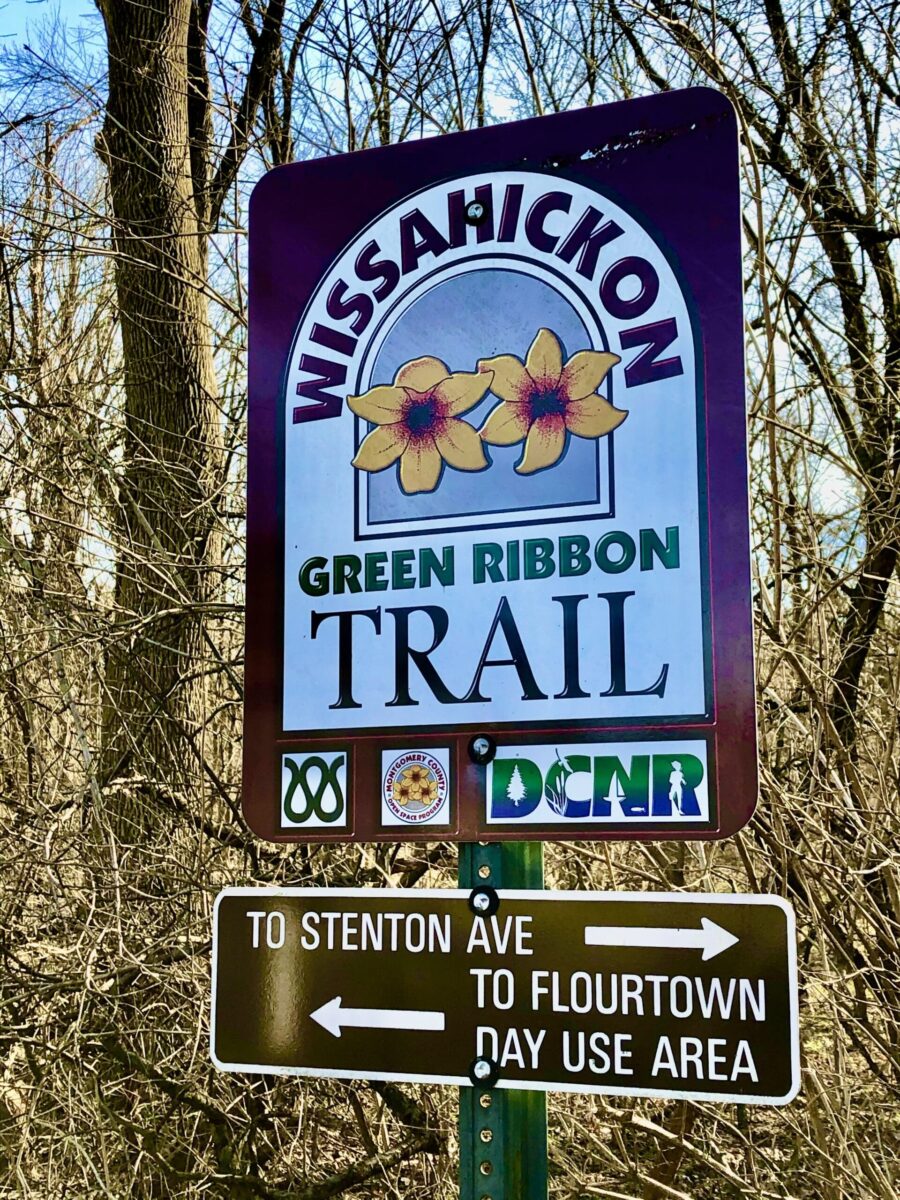 Signpost with Wildsackno n Green Ribbon Trail sign, flowers, arrows, and directional panels